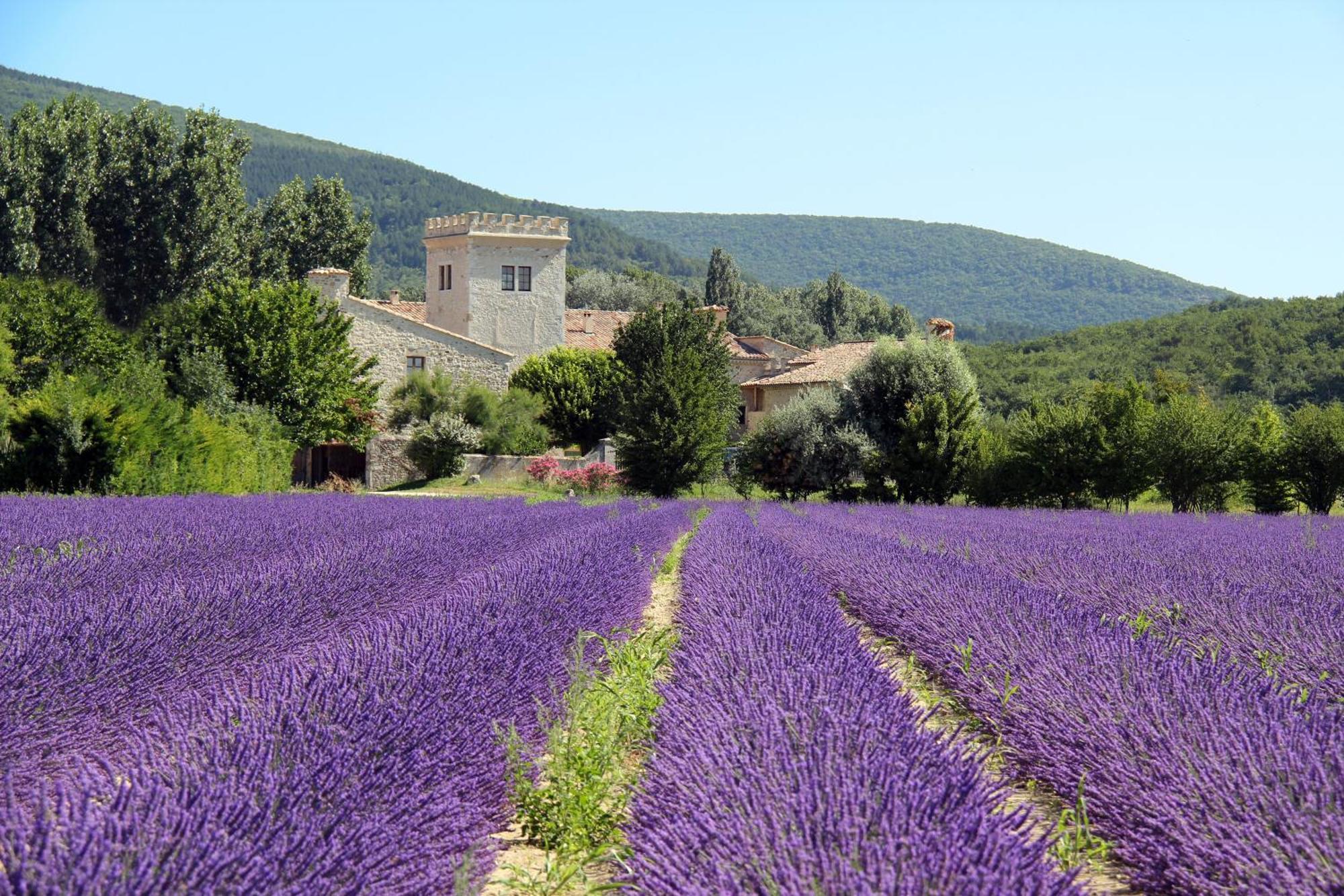 La Colombiere - Vue Imprenable Sur L'Ardeche - Tres Calme - Tres Bien Situe - Residence Privee มงเตลิมาร์ ภายนอก รูปภาพ